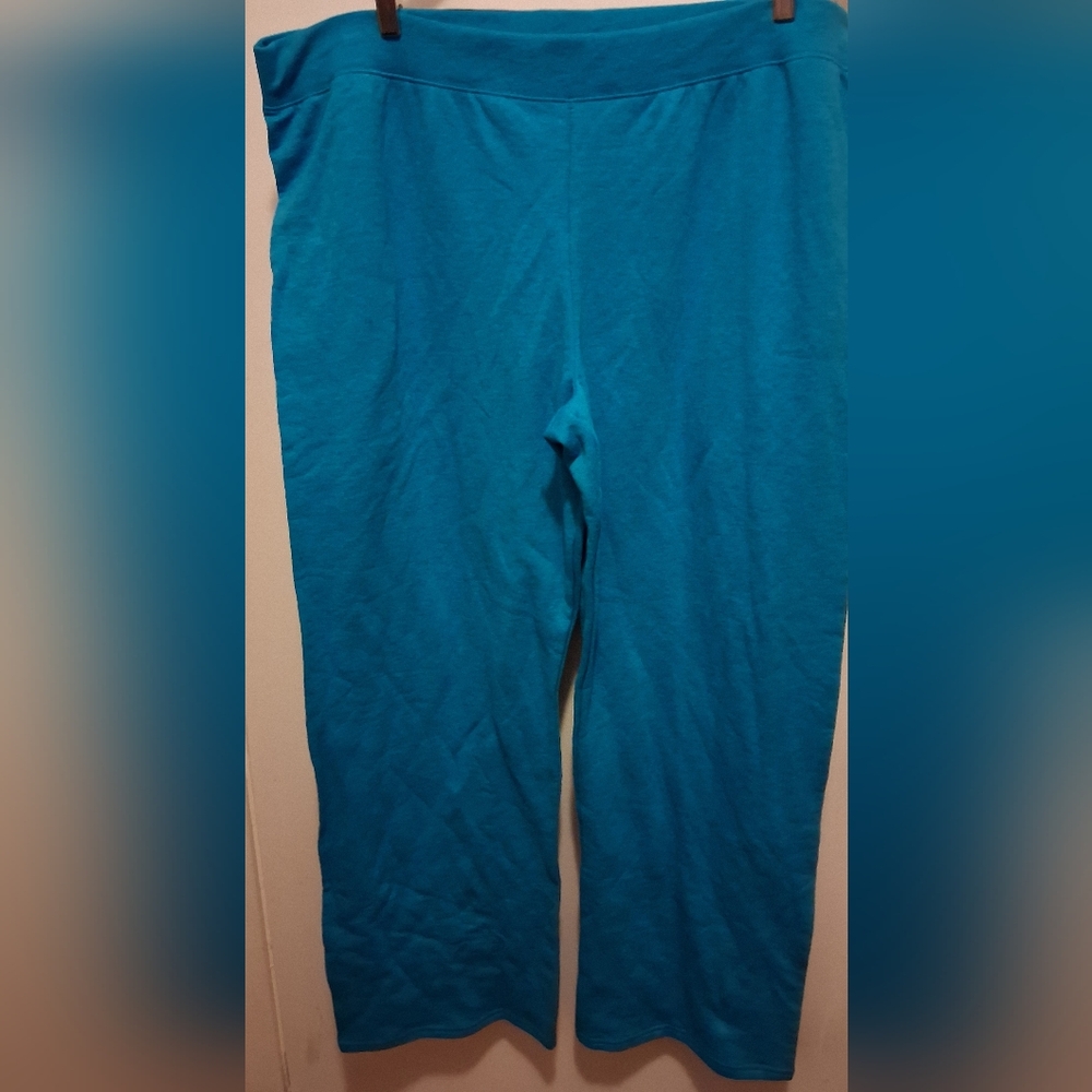 Hanes EcoSmart Blue Sweater